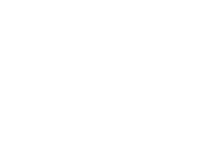 Fondazione Roche