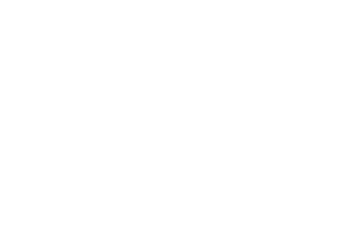 Goodyear Dunlop