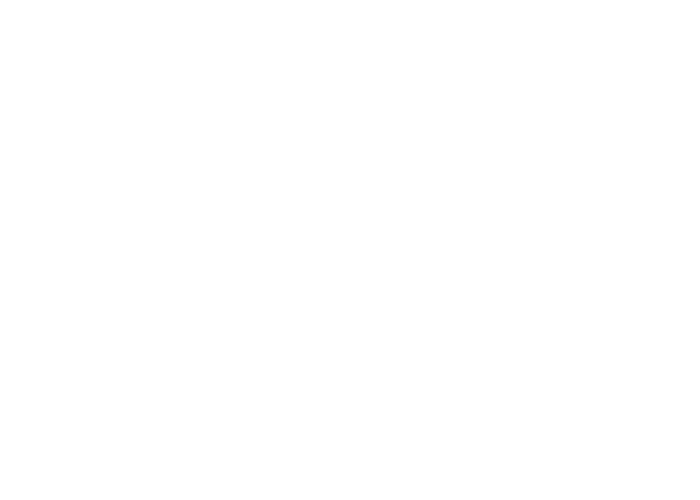 Rizzoli